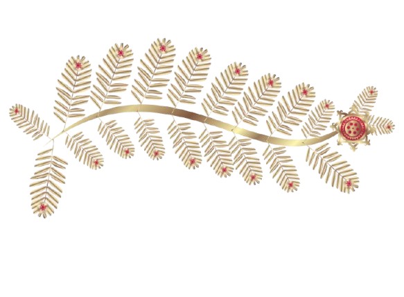 Jaipur International Film Festival – JIFF 2027 (19th) logo