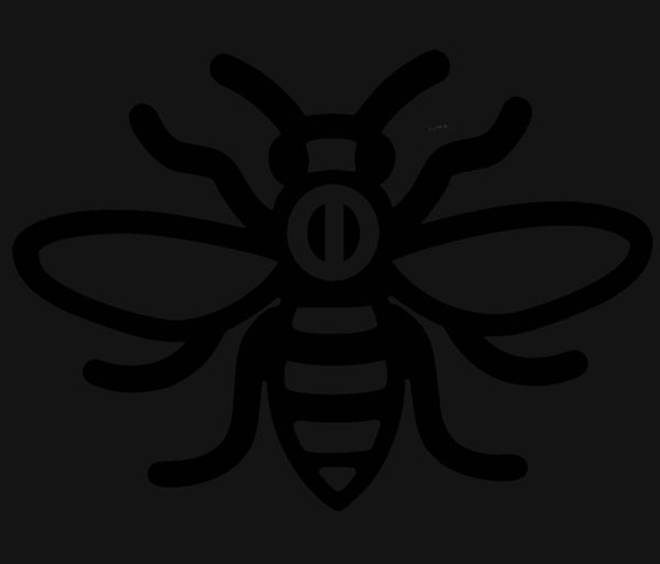 Manchester Film Festival 2027 (MFF27, 12th) logo