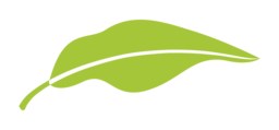 Tripoli Film Festival 2027 (Lebanon) logo